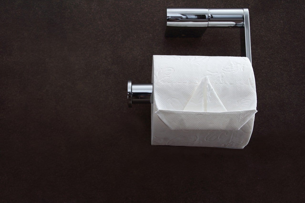 best toilet papers